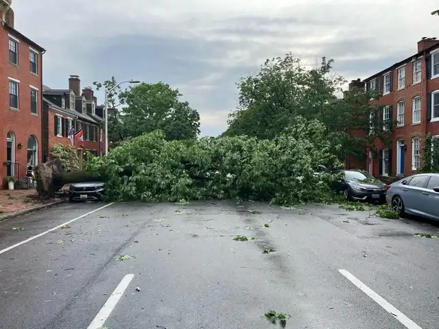 Storm Damage in Maryland