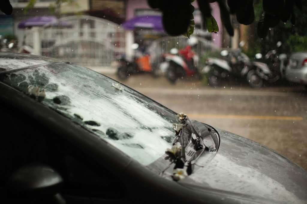 Close-up of raindrops beading on a car windshield, the effect a hydrophobic glass treatment is designed to create