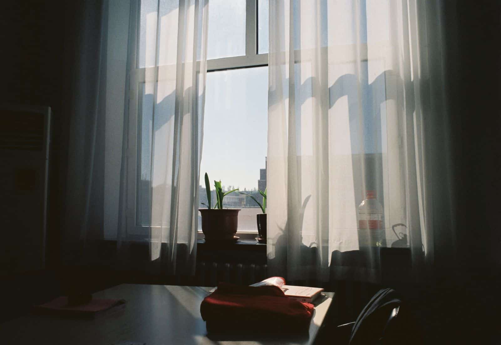 Sunlit home window with sheer curtains and a plant on the sill, the kind of glass security window film baltimore homeowners want protected