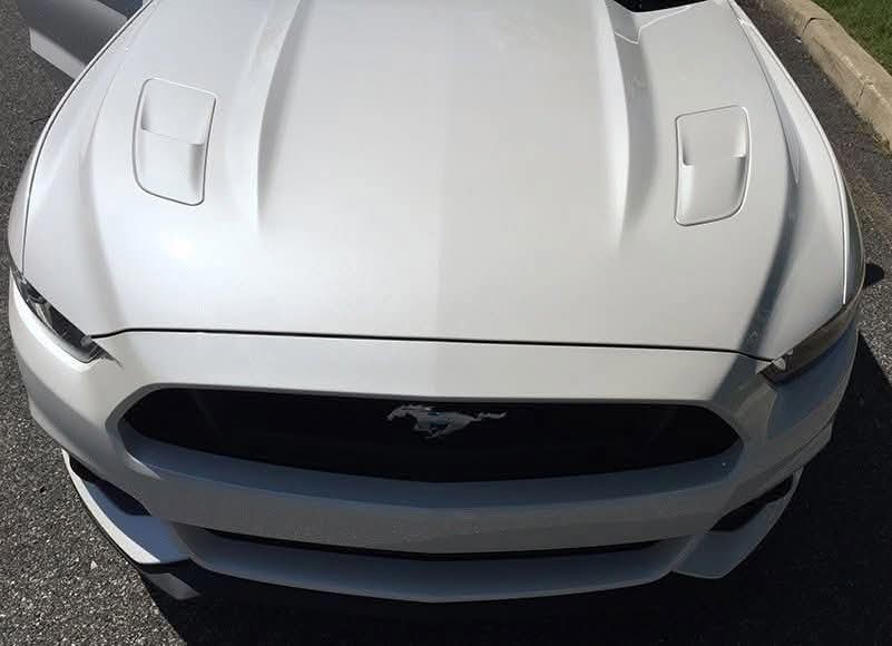 Paint Protection Film
