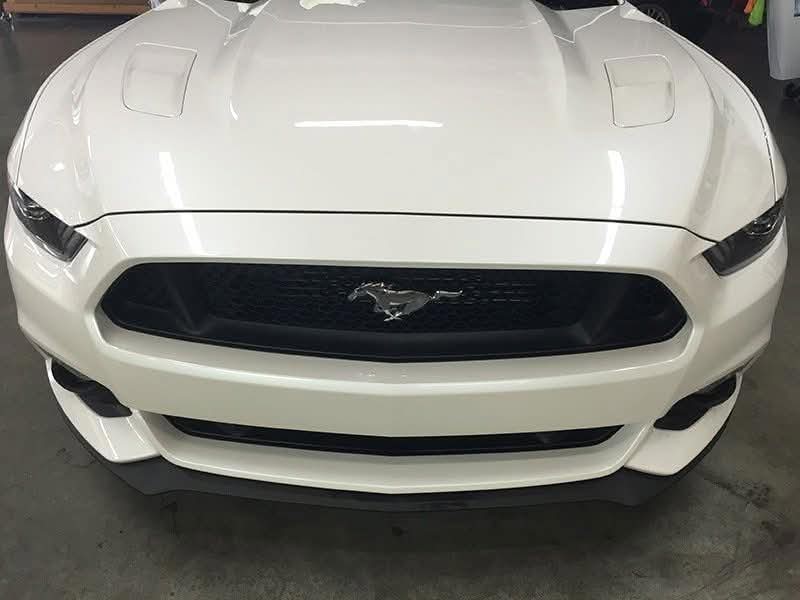 Paint Protection Film