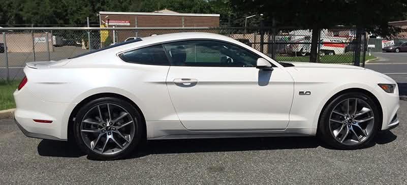 Paint Protection Film