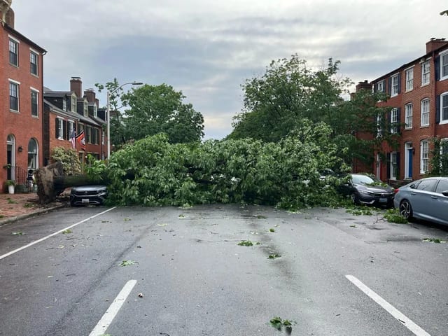 Storm Damage in Maryland